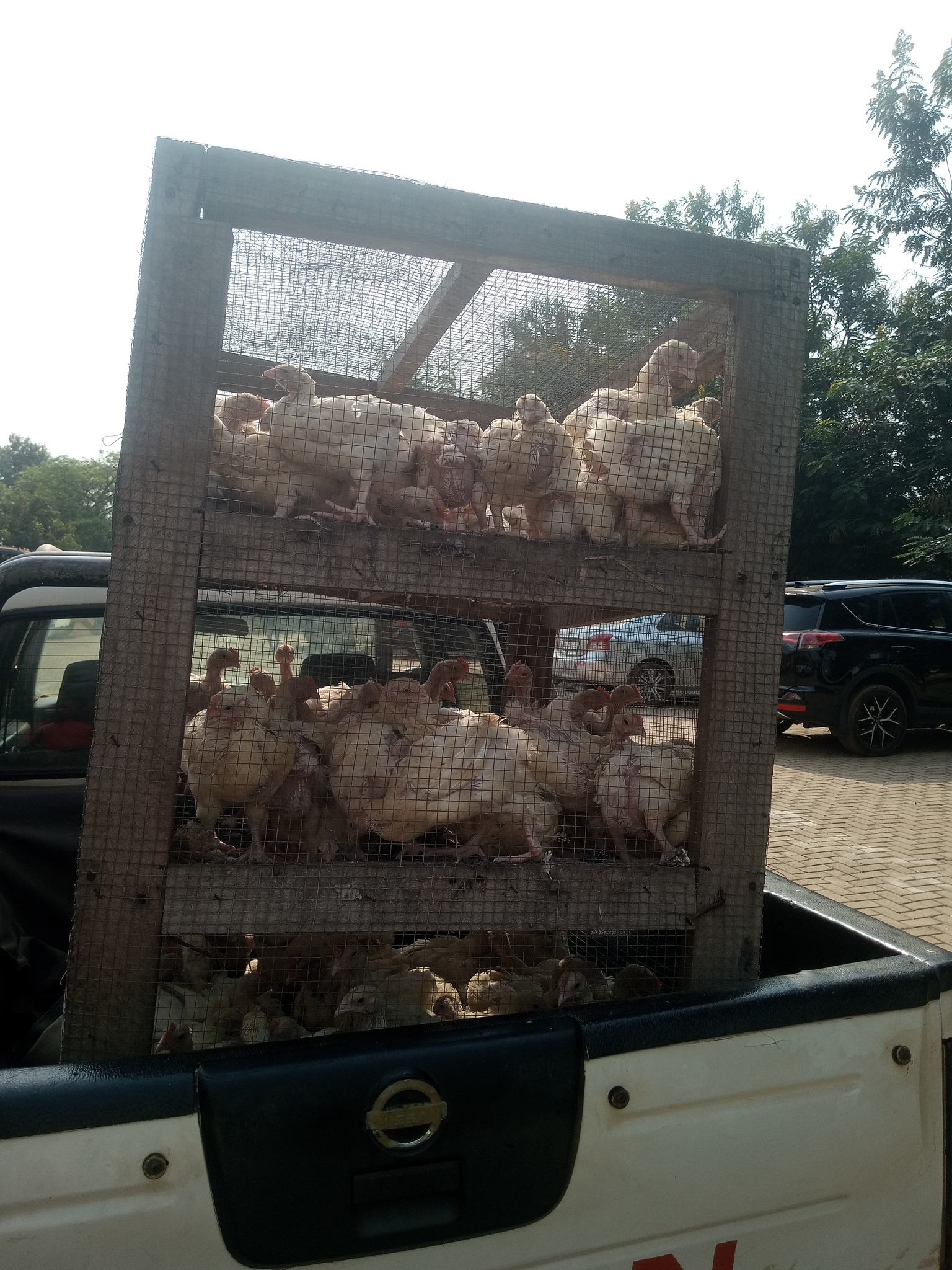 624219817_122114836953159766_1157763575670637597_n