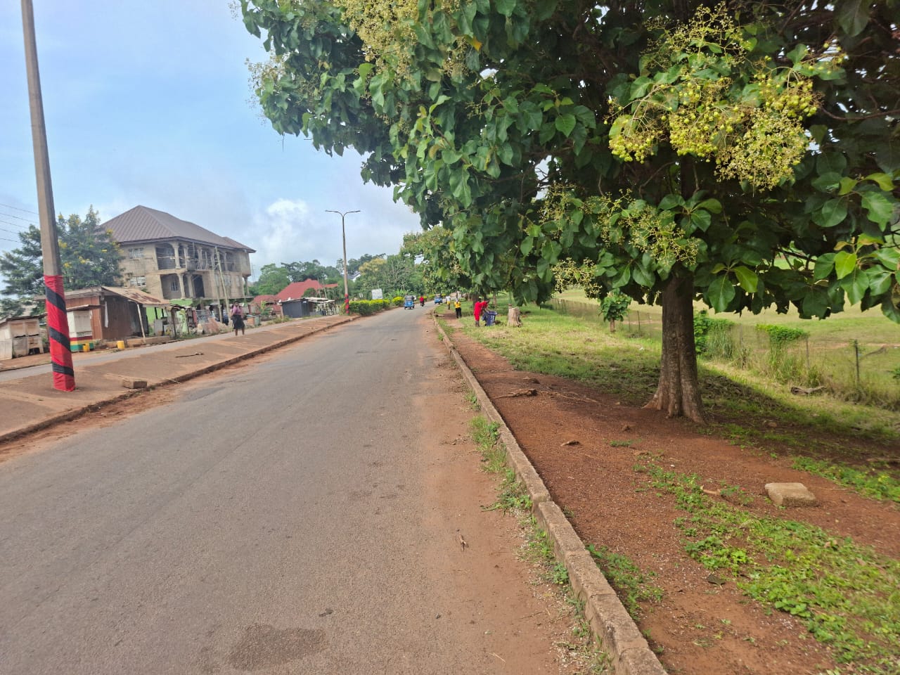 31d5c7f7-b5f7-41f2-8a4c-27d1bfab4b29