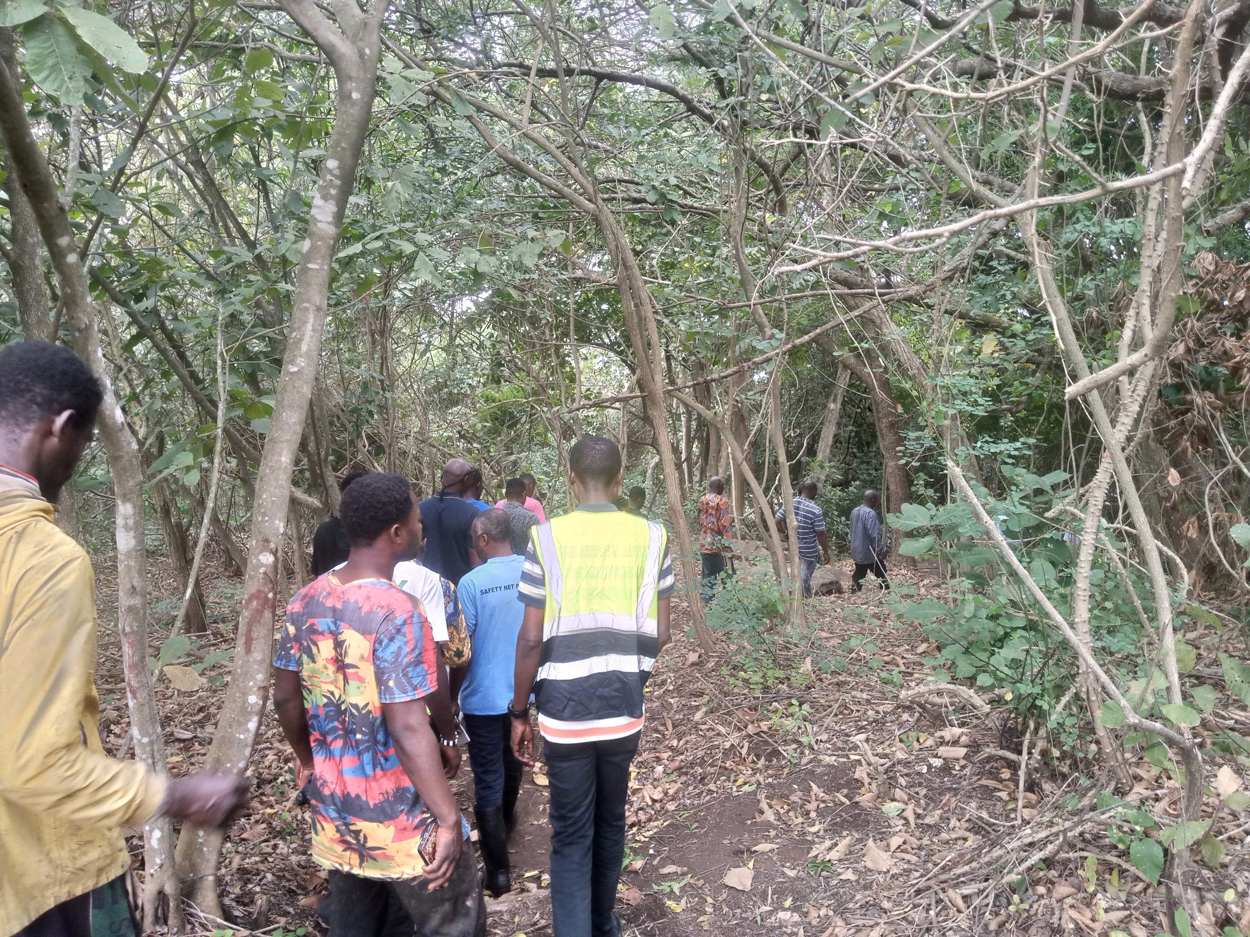 IMG_20260108_134528_352