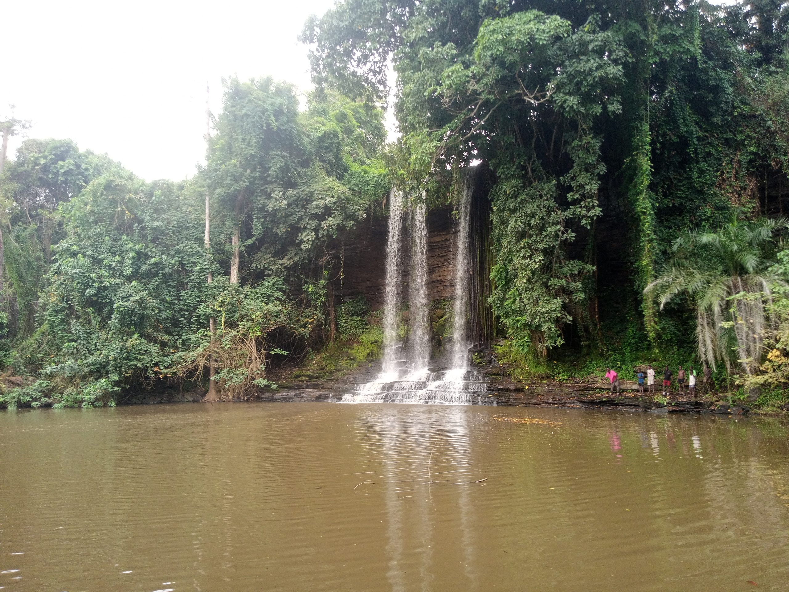 IMG_20260108_135311_732