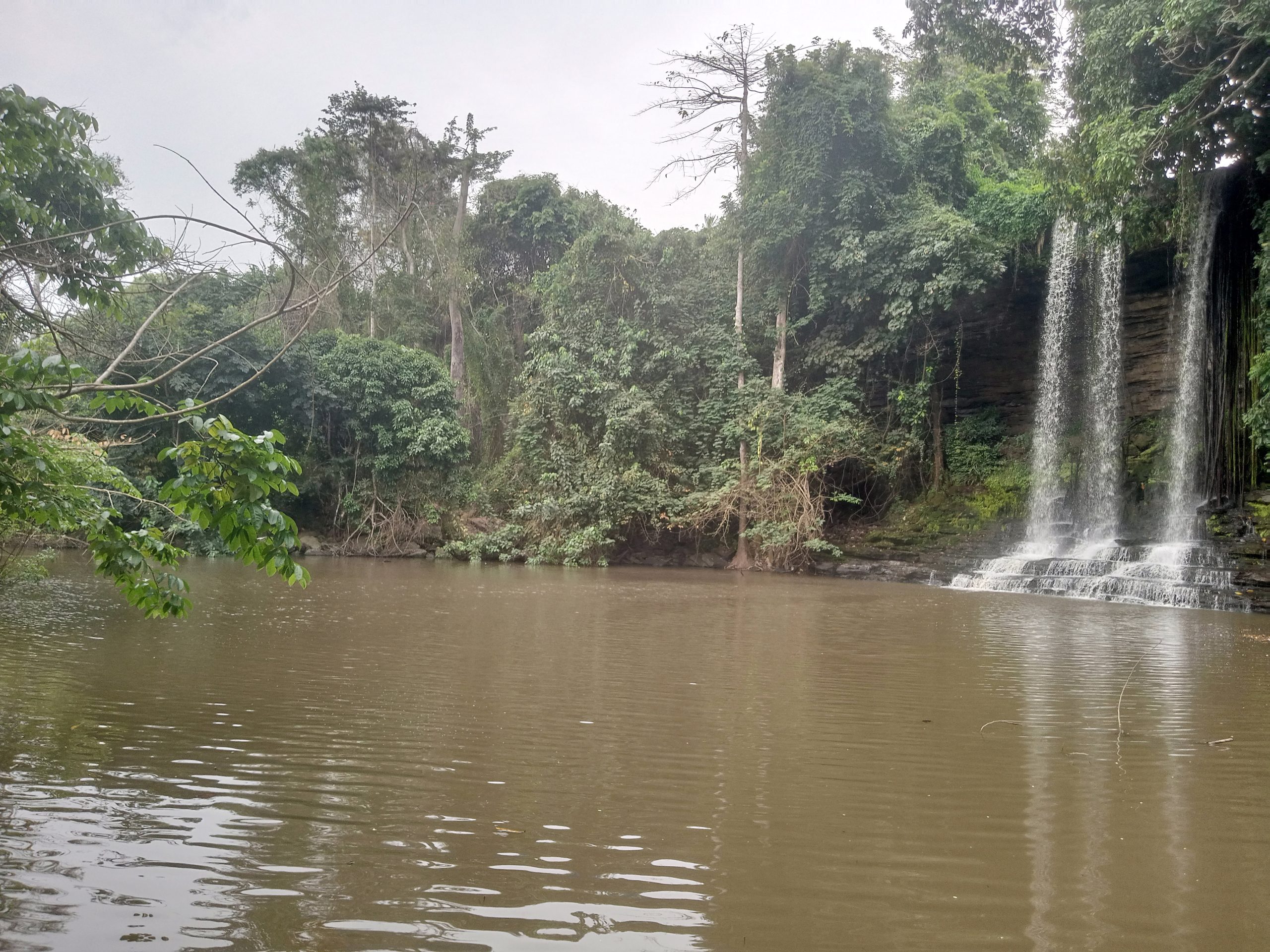 IMG_20260108_135316_558