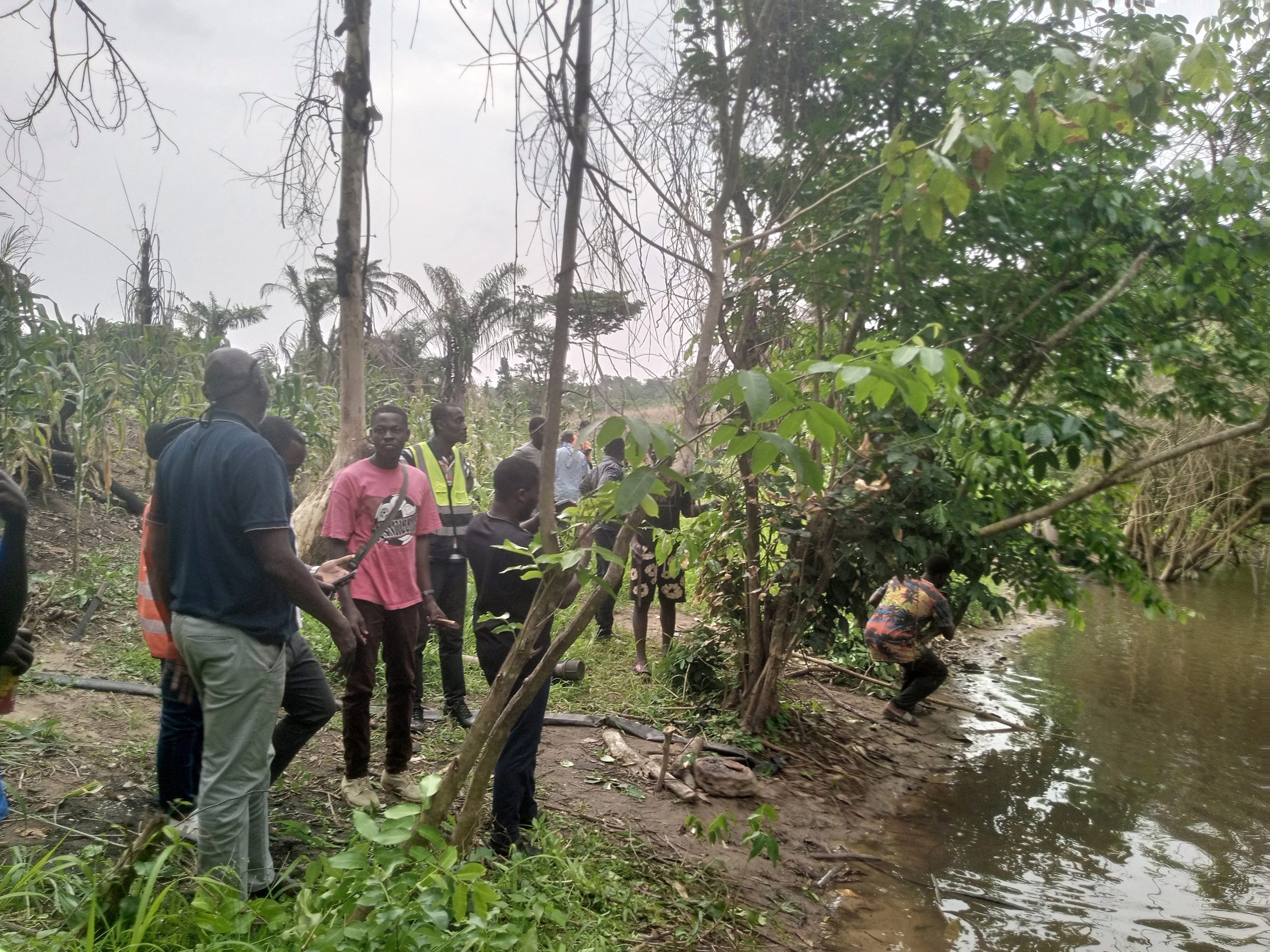 IMG_20260108_135318_904