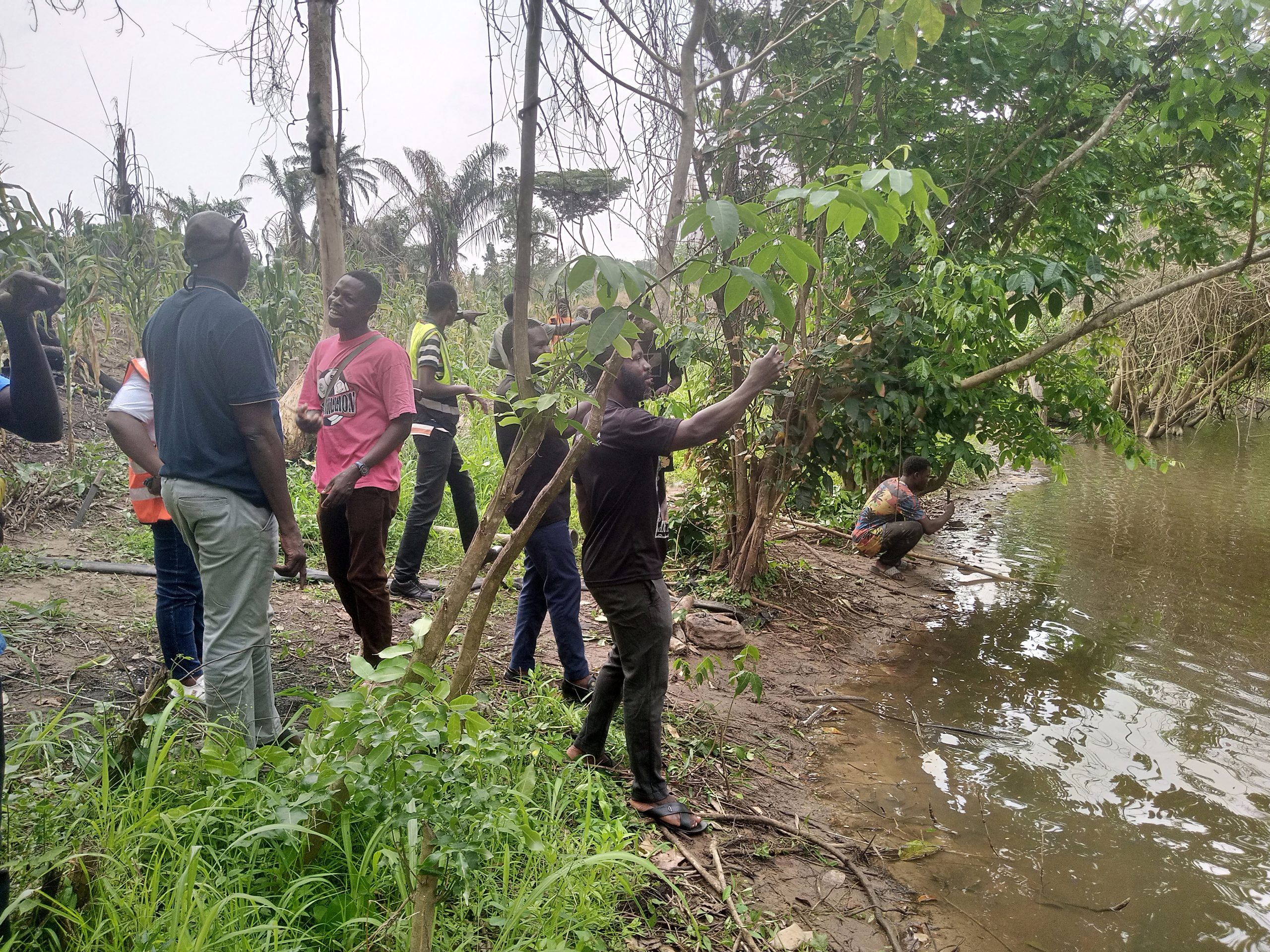 IMG_20260108_135322_791