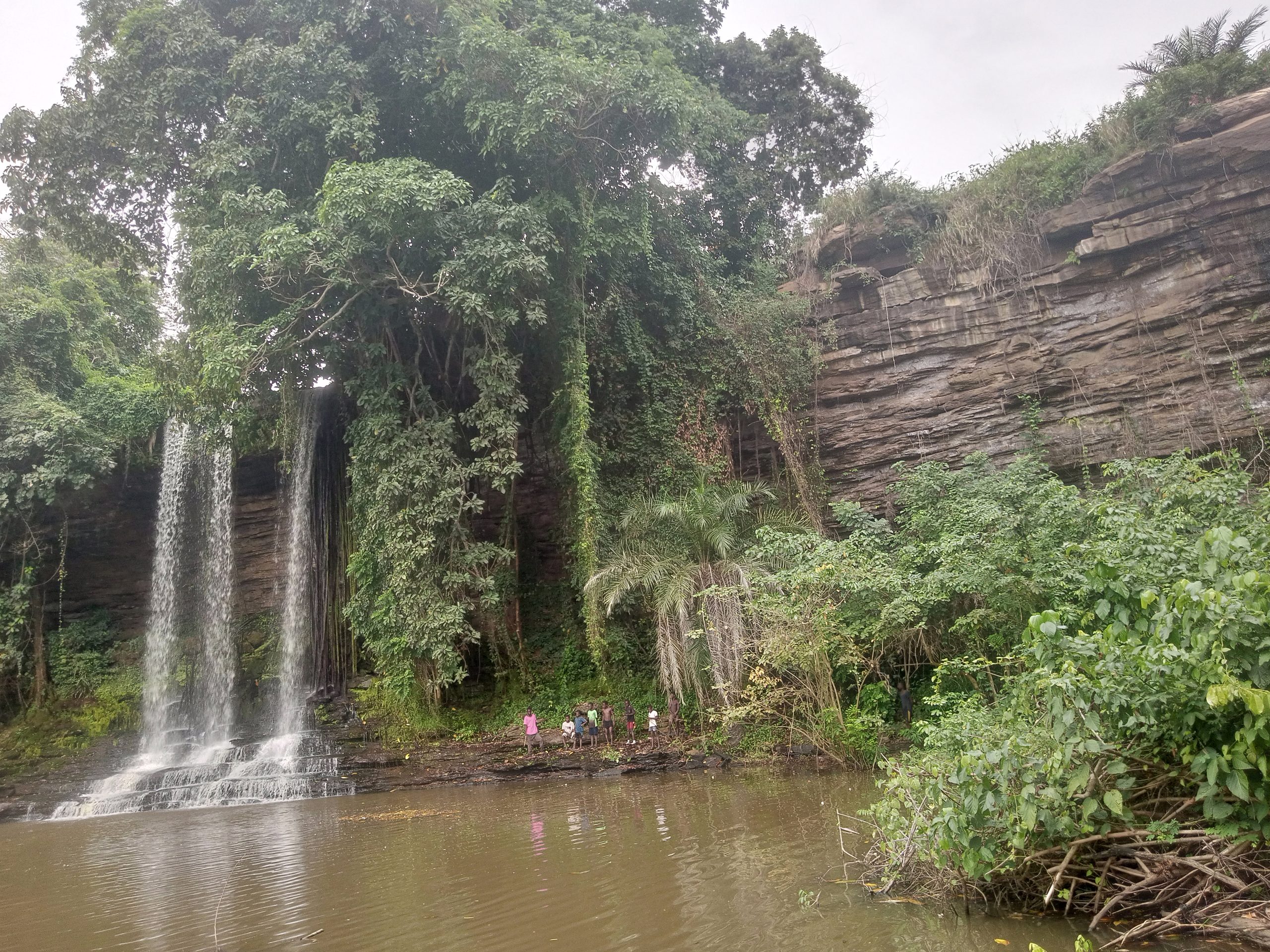 IMG_20260108_135334_008